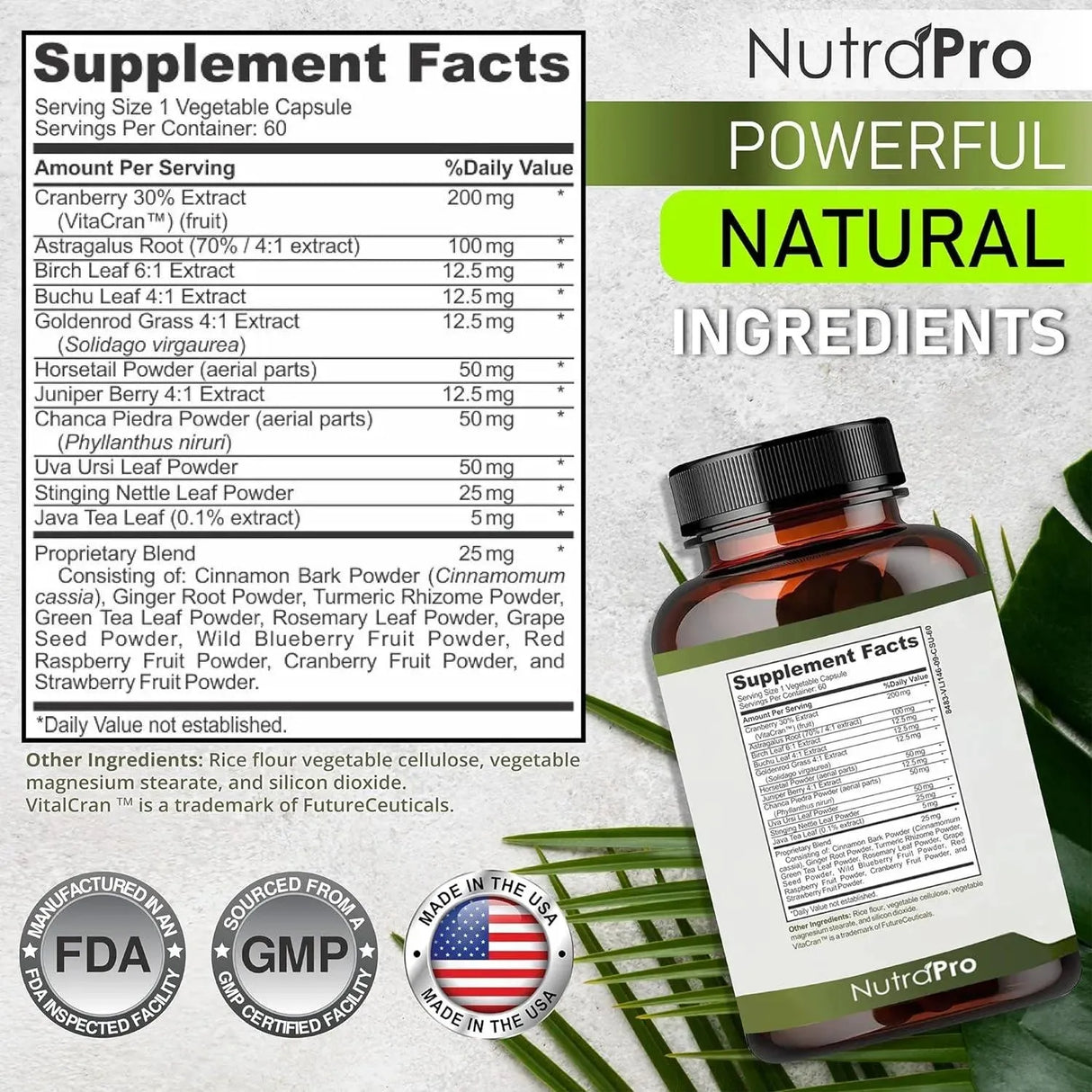 NUTRAPRO - NutraPro Kidney Cleanse Detox & Repair and Bladder Support 60 Capsulas - The Red Vitamin MX - Suplementos Alimenticios - {{ shop.shopifyCountryName }}