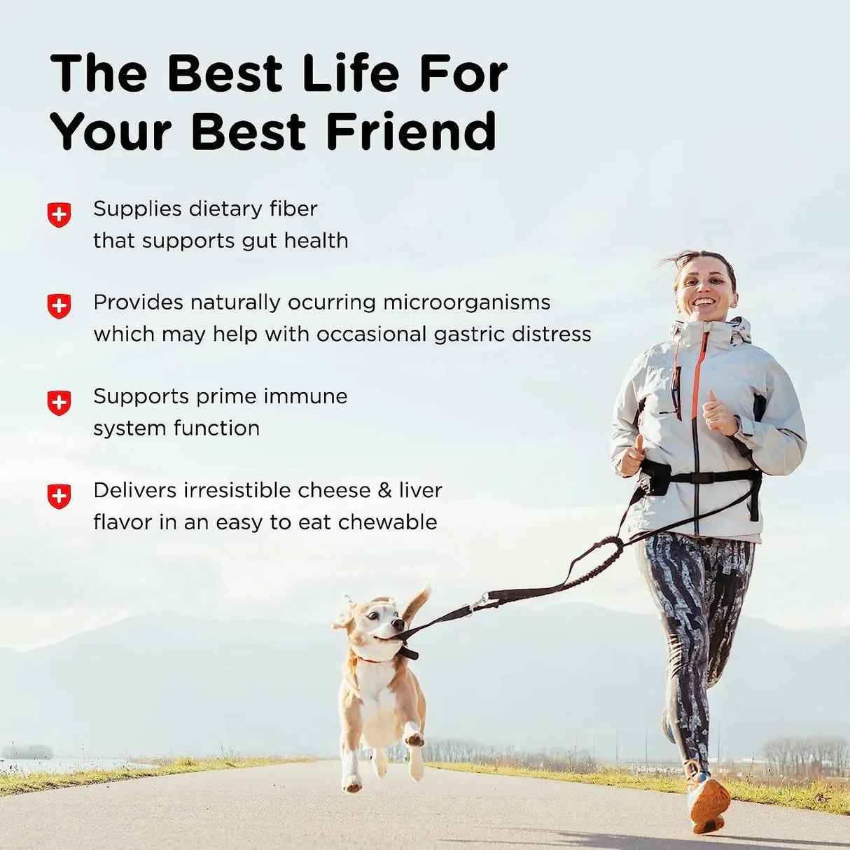 NUTRI-VET - Nutri-Vet Pre and Probiotic Soft Chews for Dogs 120 Masticables - The Red Vitamin MX - Probióticos Para Perros - {{ shop.shopifyCountryName }}