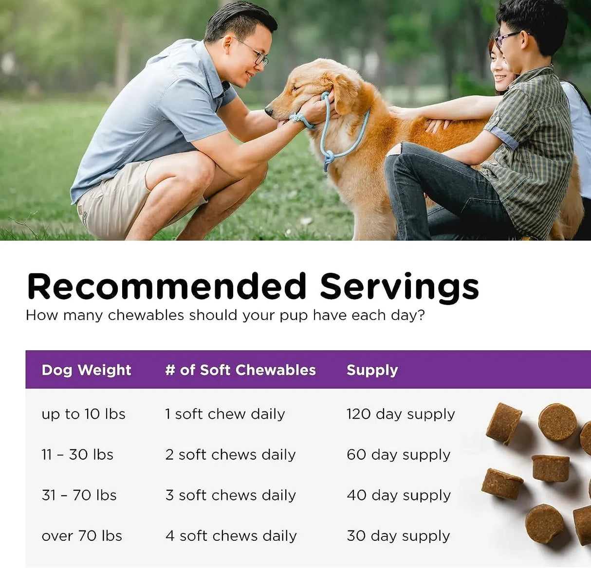 NUTRI-VET - Nutri-Vet Pre and Probiotic Soft Chews for Dogs 120 Masticables - The Red Vitamin MX - Probióticos Para Perros - {{ shop.shopifyCountryName }}