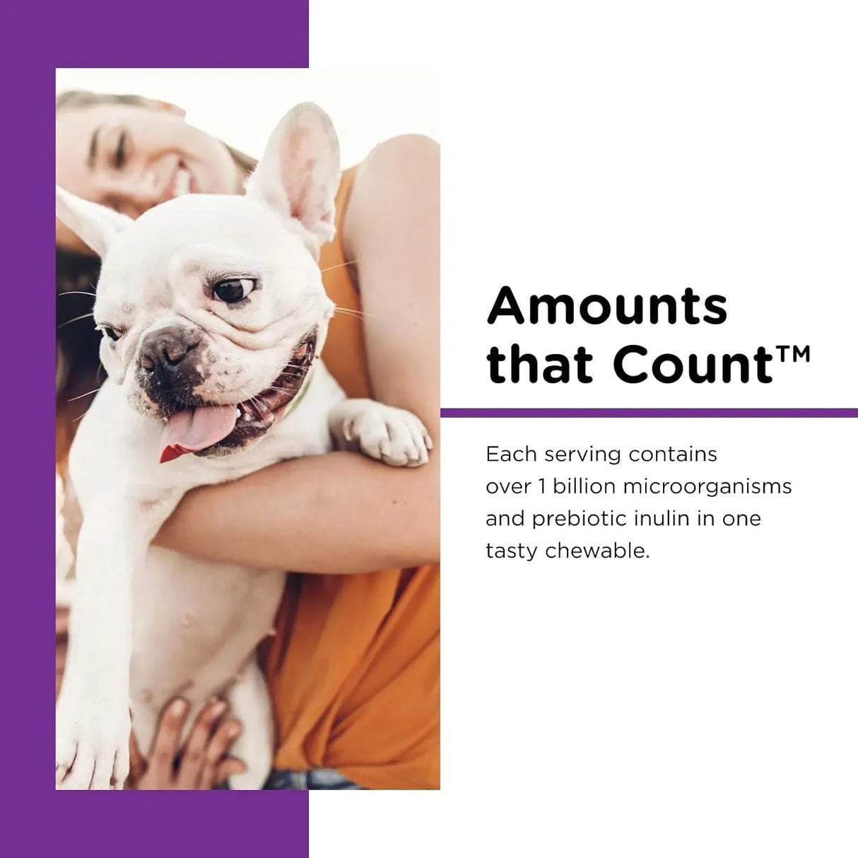 NUTRI-VET - Nutri-Vet Pre and Probiotic Soft Chews for Dogs 120 Masticables - The Red Vitamin MX - Probióticos Para Perros - {{ shop.shopifyCountryName }}