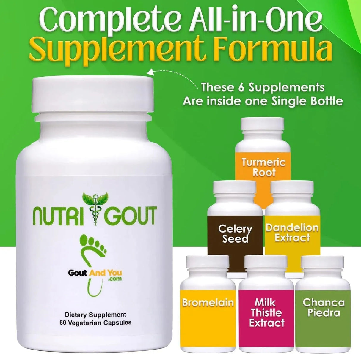 NUTRIGOUT - NutriGout Uric Acid Cleanse 60 Capsulas - The Red Vitamin MX - Suplementos Alimenticios - {{ shop.shopifyCountryName }}