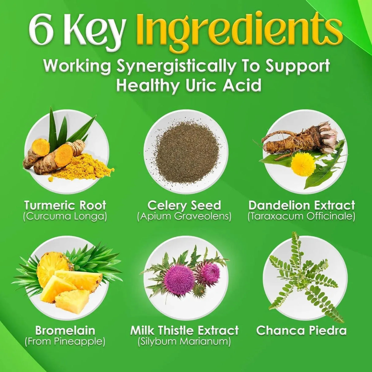 NUTRIGOUT - NutriGout Uric Acid Cleanse 60 Capsulas - The Red Vitamin MX - Suplementos Alimenticios - {{ shop.shopifyCountryName }}