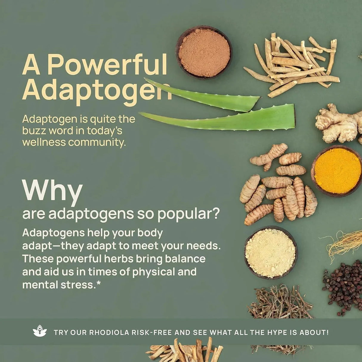 NUVEN NATURALS - Nuven Naturals Rhodiola Rosea 600Mg. 120 Capsulas - The Red Vitamin MX - Suplementos Alimenticios - {{ shop.shopifyCountryName }}