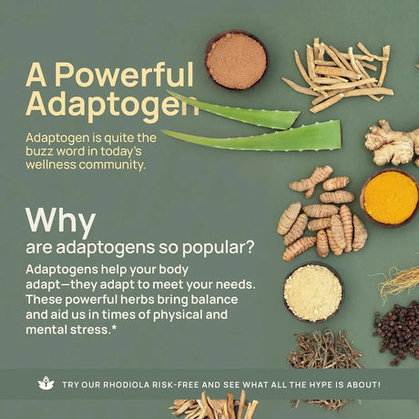 NUVEN NATURALS - Nuven Naturals Rhodiola Rosea 600Mg. 120 Capsulas - The Red Vitamin MX - Suplementos Alimenticios - {{ shop.shopifyCountryName }}