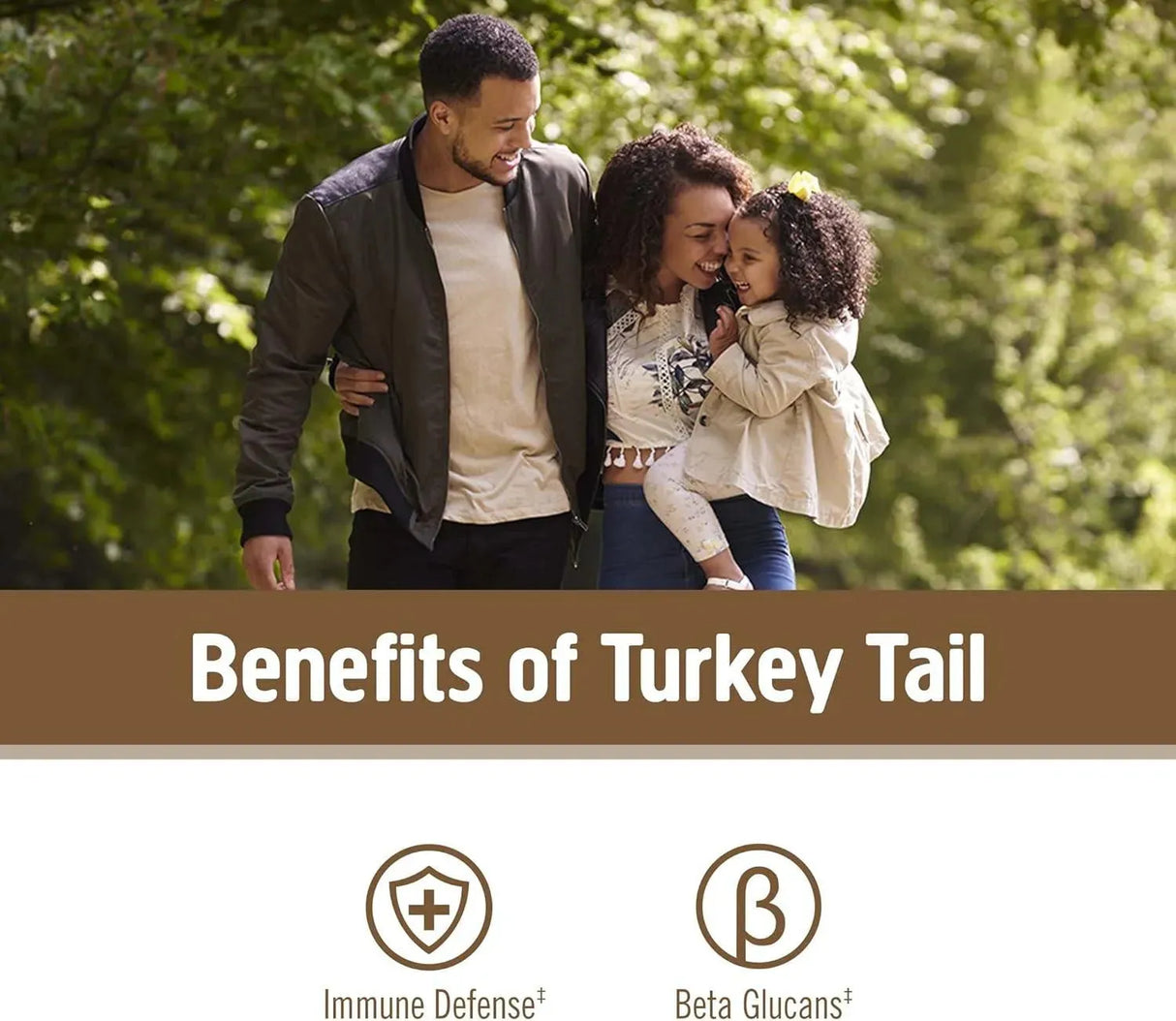 OM - OM Mushroom Superfood Turkey Tail Organic Mushroom Powder 200Gr. - The Red Vitamin MX - Suplementos Alimenticios - {{ shop.shopifyCountryName }}