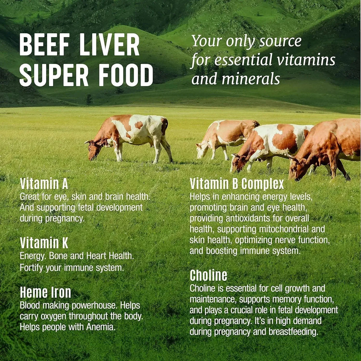 ONE EARTH HEALTH - One Earth Health Beef Liver 3000MG. 200 Capsulas - The Red Vitamin MX - Suplementos Alimenticios - {{ shop.shopifyCountryName }}