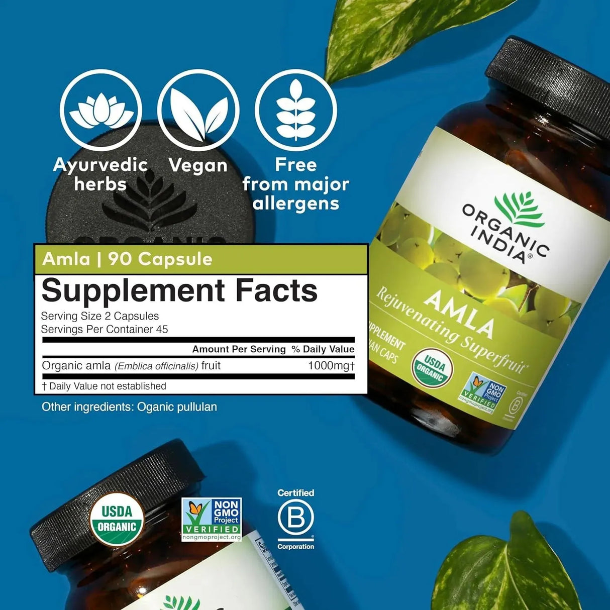 ORGANIC INDIA - ORGANIC INDIA Amla 90 Capsulas - The Red Vitamin MX - Suplementos Alimenticios - {{ shop.shopifyCountryName }}