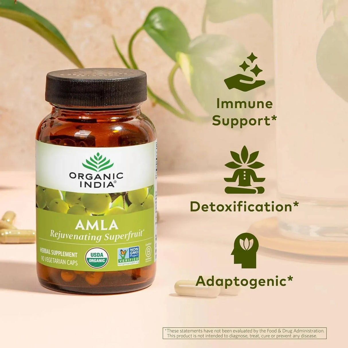 ORGANIC INDIA - ORGANIC INDIA Amla 90 Capsulas - The Red Vitamin MX - Suplementos Alimenticios - {{ shop.shopifyCountryName }}