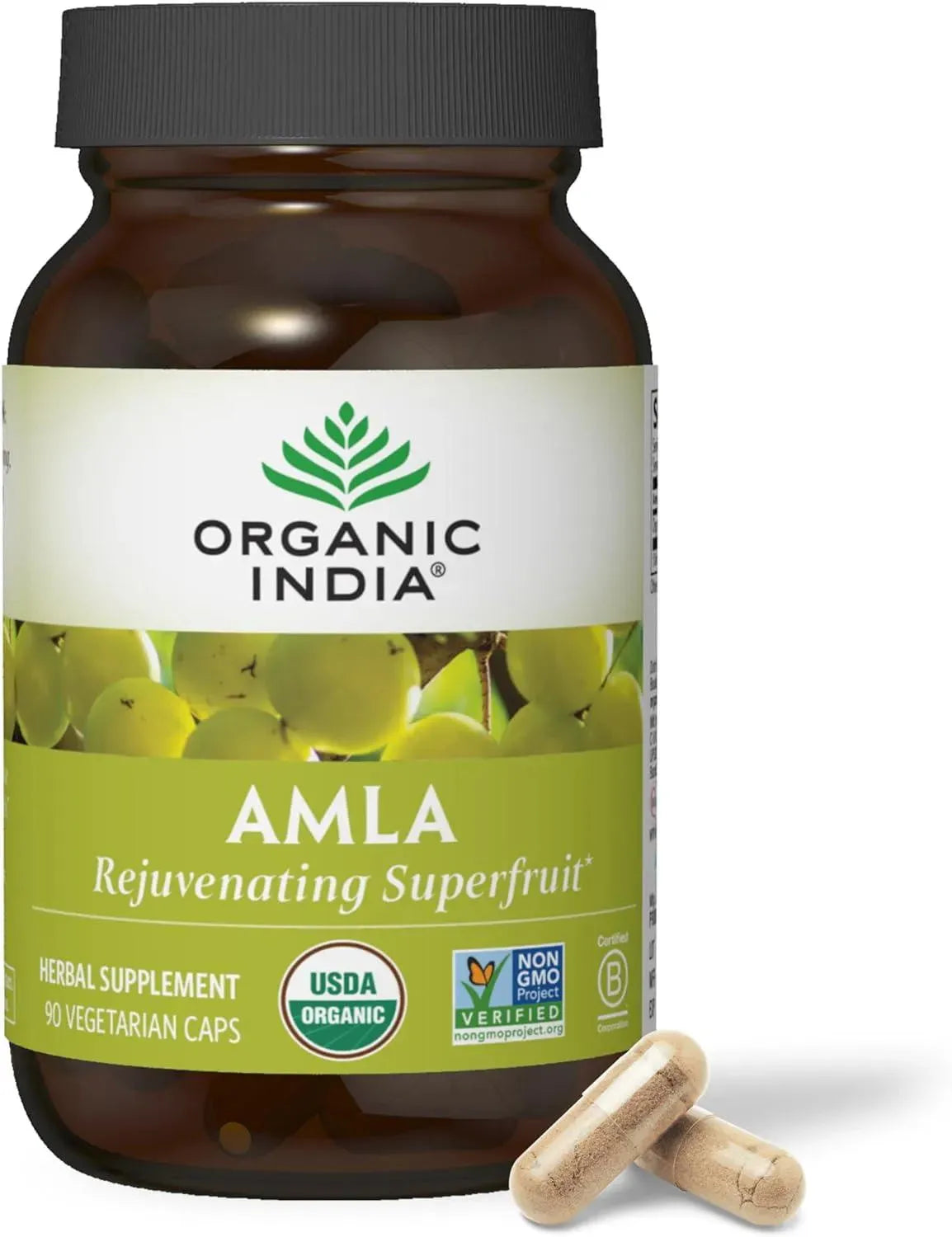 ORGANIC INDIA - ORGANIC INDIA Amla 90 Capsulas - The Red Vitamin MX - Suplementos Alimenticios - {{ shop.shopifyCountryName }}