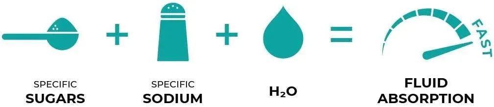 OSMO - Osmo Nutrition Active Hydration Mix BlackBerry 403Gr. - The Red Vitamin MX - Suplementos Alimenticios - {{ shop.shopifyCountryName }}