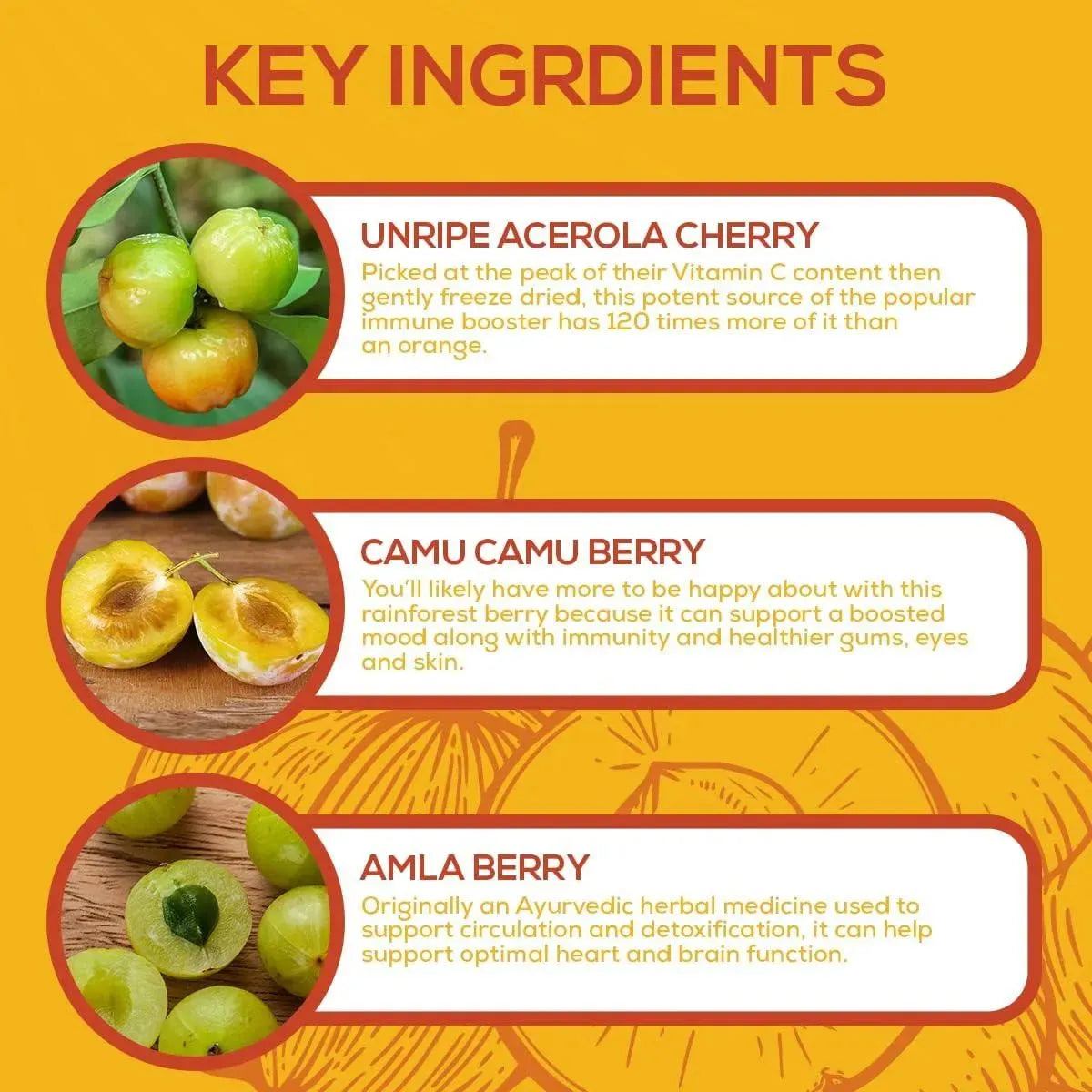 PALEOVALLEY - Paleovalley Essential C Complex 56 Capsulas - The Red Vitamin MX - Suplementos Alimenticios - {{ shop.shopifyCountryName }}