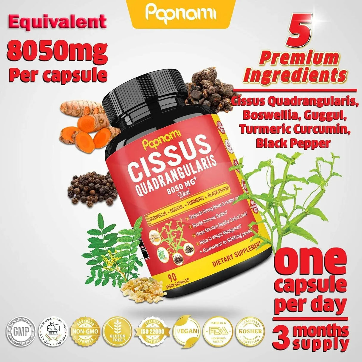 PAPNAMI - Papnami Super Cissus Quadrangularis Extract 8050Mg. 90 Capsulas - The Red Vitamin MX - Suplementos Alimenticios - {{ shop.shopifyCountryName }}