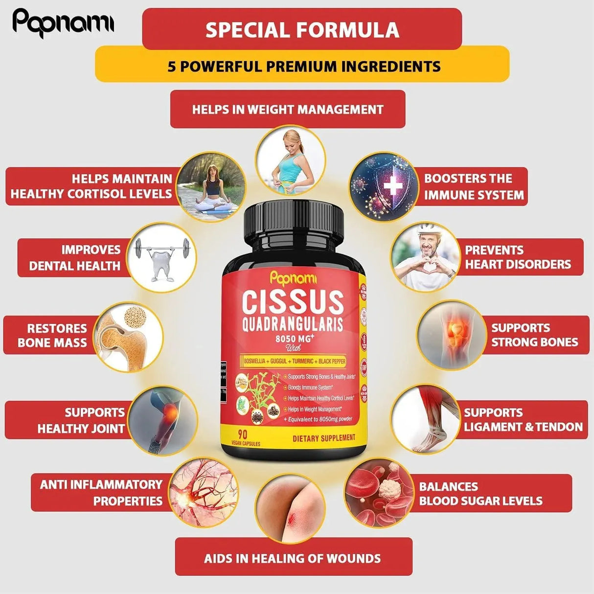 PAPNAMI - Papnami Super Cissus Quadrangularis Extract 8050Mg. 90 Capsulas - The Red Vitamin MX - Suplementos Alimenticios - {{ shop.shopifyCountryName }}