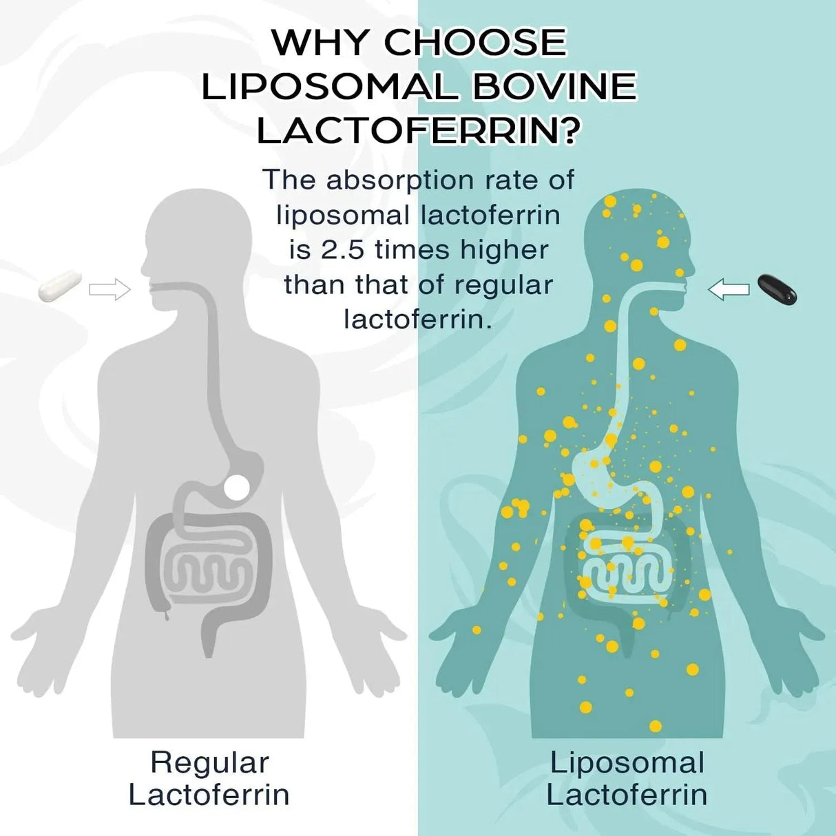 PEPEIOR - Pepeior Liposomal Lactoferrin 1000Mg. 60 Capsulas Blandas - The Red Vitamin MX - Suplementos Alimenticios - {{ shop.shopifyCountryName }}