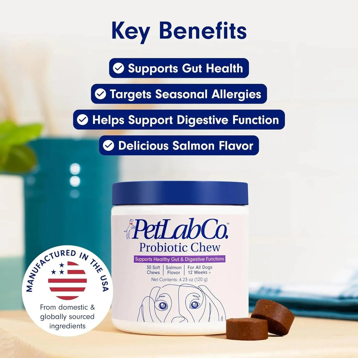 PETLAB CO. - PetLab Co. Probiotics for Dogs Salmon Flavor 30 Masticables 2 Pack - The Red Vitamin MX - Probióticos Para Perros - {{ shop.shopifyCountryName }}