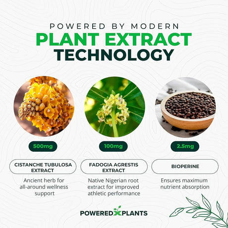 POWERED X PLANTS - POWERED X PLANTS Cistanche Tubulosa 500Mg. 90 Capsulas - The Red Vitamin MX - Suplementos Alimenticios - {{ shop.shopifyCountryName }}