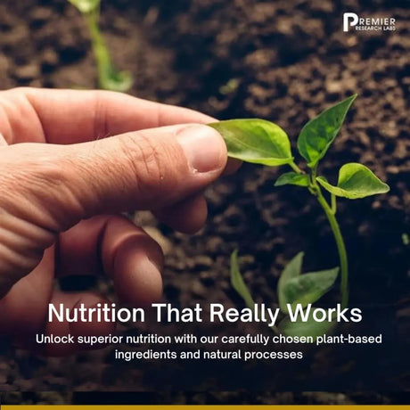 PREMIER RESEARCH LABS - Premier Research Labs Lecithin Granules 295Gr. - The Red Vitamin MX - Suplementos Alimenticios - {{ shop.shopifyCountryName }}