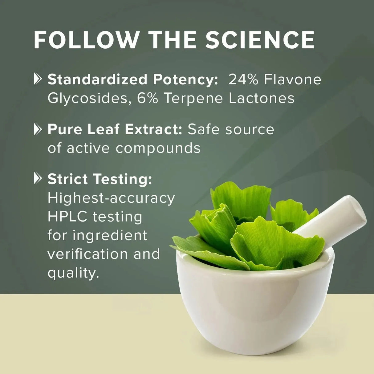 PRIMINENT NUTRITION - Prominent Nutrition Ginkgo Biloba 120Mg. 60 Capsulas - The Red Vitamin MX - Suplementos Alimenticios - {{ shop.shopifyCountryName }}