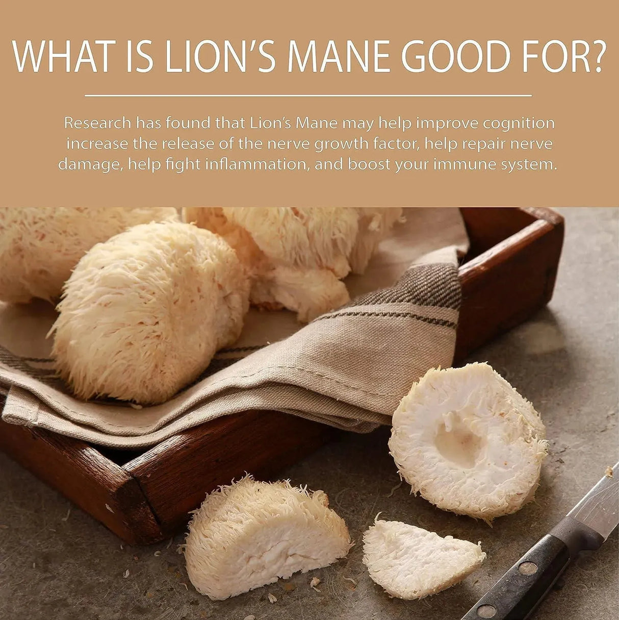 PURA SOL - Pura Sol Lion’s Mane Mushroom 10,000Mg. 60 Capsulas - The Red Vitamin MX - Suplementos Alimenticios - {{ shop.shopifyCountryName }}