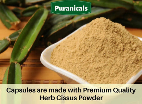 PURANICALS - Puranicals Cissus Premium 700Mg. 320 Capsulas - The Red Vitamin MX - Suplementos Alimenticios - {{ shop.shopifyCountryName }}