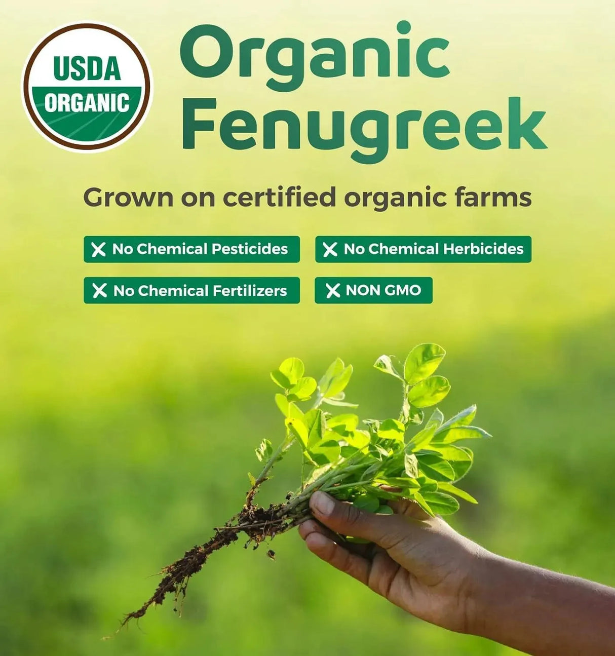 PURE CO - Pure Co. Organic Fenugreek 60 Capsulas - The Red Vitamin MX - Suplementos Alimenticios - {{ shop.shopifyCountryName }}