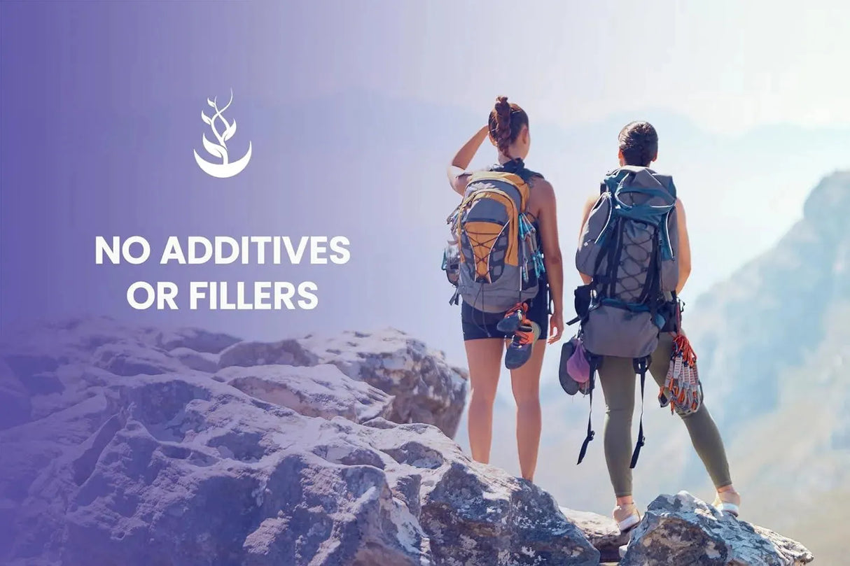 PURE ORIGINAL INGREDIENTS - Pure Original Ingredients Bilberry Extract 365 Capsulas - The Red Vitamin MX - Suplementos Alimenticios - {{ shop.shopifyCountryName }}