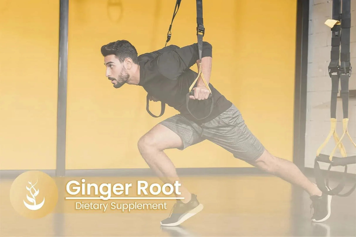 PURE ORIGINAL INGREDIENTS - Pure Original Ingredients Ginger Root 100 Capsulas - The Red Vitamin MX - Suplementos Alimenticios - {{ shop.shopifyCountryName }}