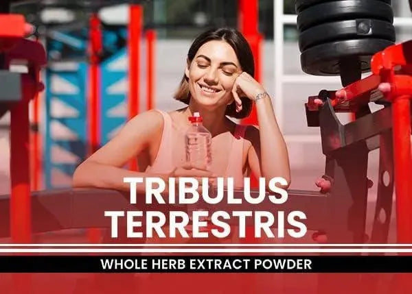 PURE ORIGINAL INGREDIENTS - Pure Original Ingredients Tribulus Terrestris 317Gr. - The Red Vitamin MX - Suplementos Alimenticios - {{ shop.shopifyCountryName }}