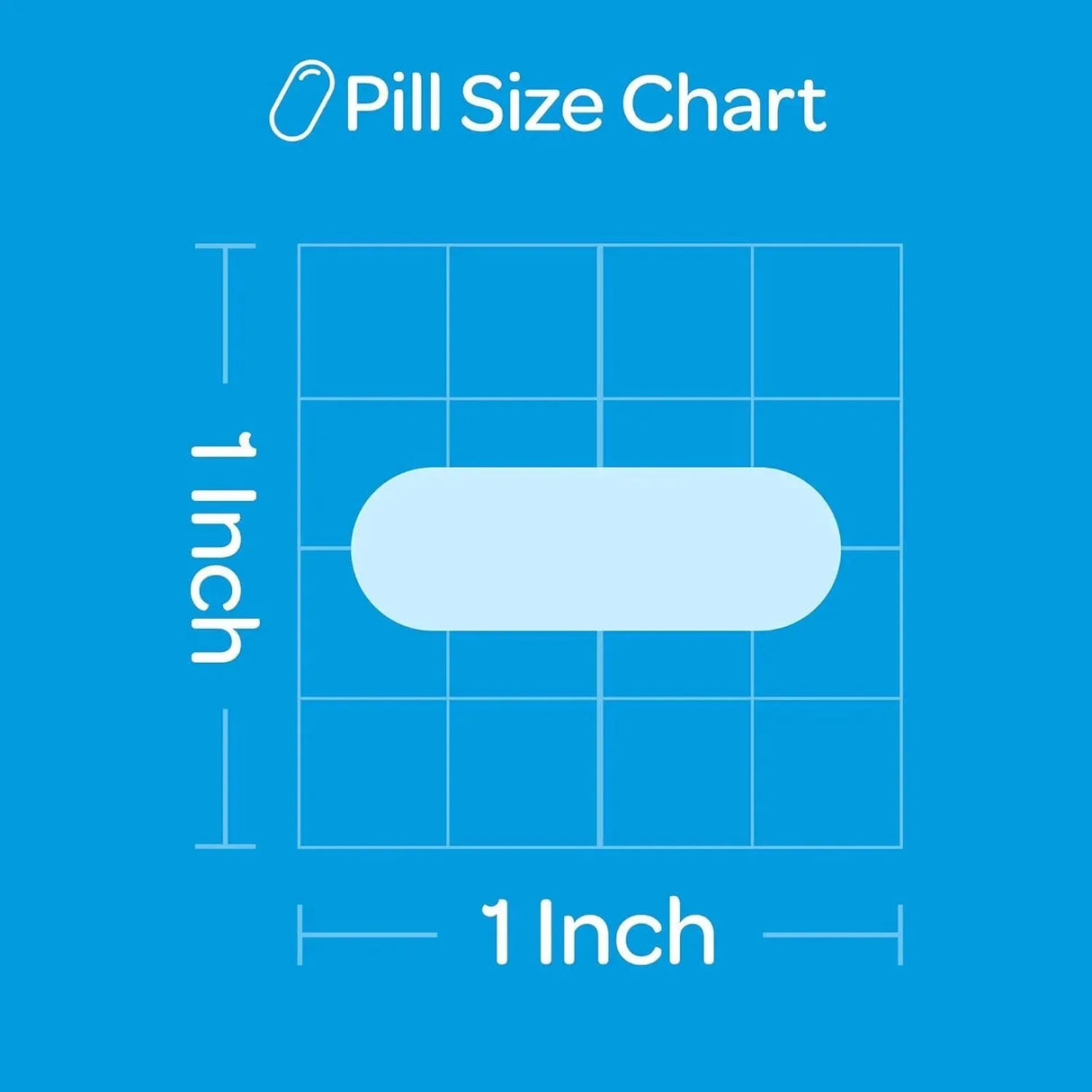 PURITAN'S PRIDE - Puritan's Pride Vitamin C with Bioflavonoids 100 Capsulas - The Red Vitamin MX - Suplementos Alimenticios - {{ shop.shopifyCountryName }}
