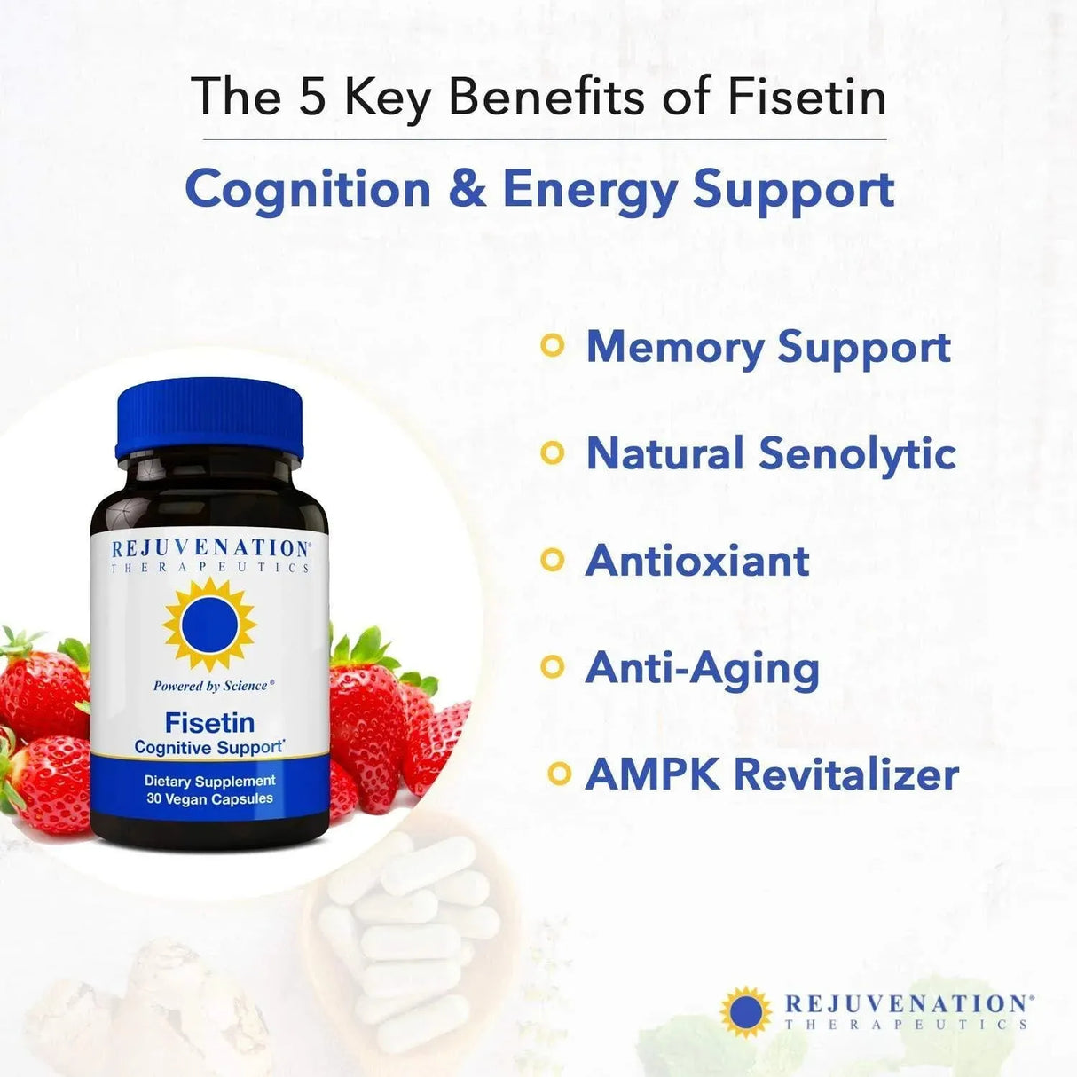 REJUVENATION THERAPEUTICS - Rejuvenation Therapeutics Fisetin 100Mg. 30 Capsulas - The Red Vitamin MX - Suplementos Alimenticios - {{ shop.shopifyCountryName }}