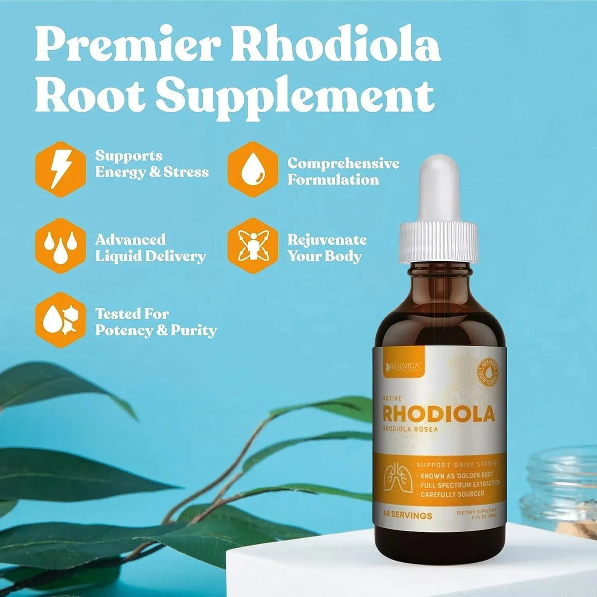 REJUVICA HEALTH - Rejuvica Health Active Rhodiola Rhodiola Root Extract 59Ml. - The Red Vitamin MX - Suplementos Alimenticios - {{ shop.shopifyCountryName }}