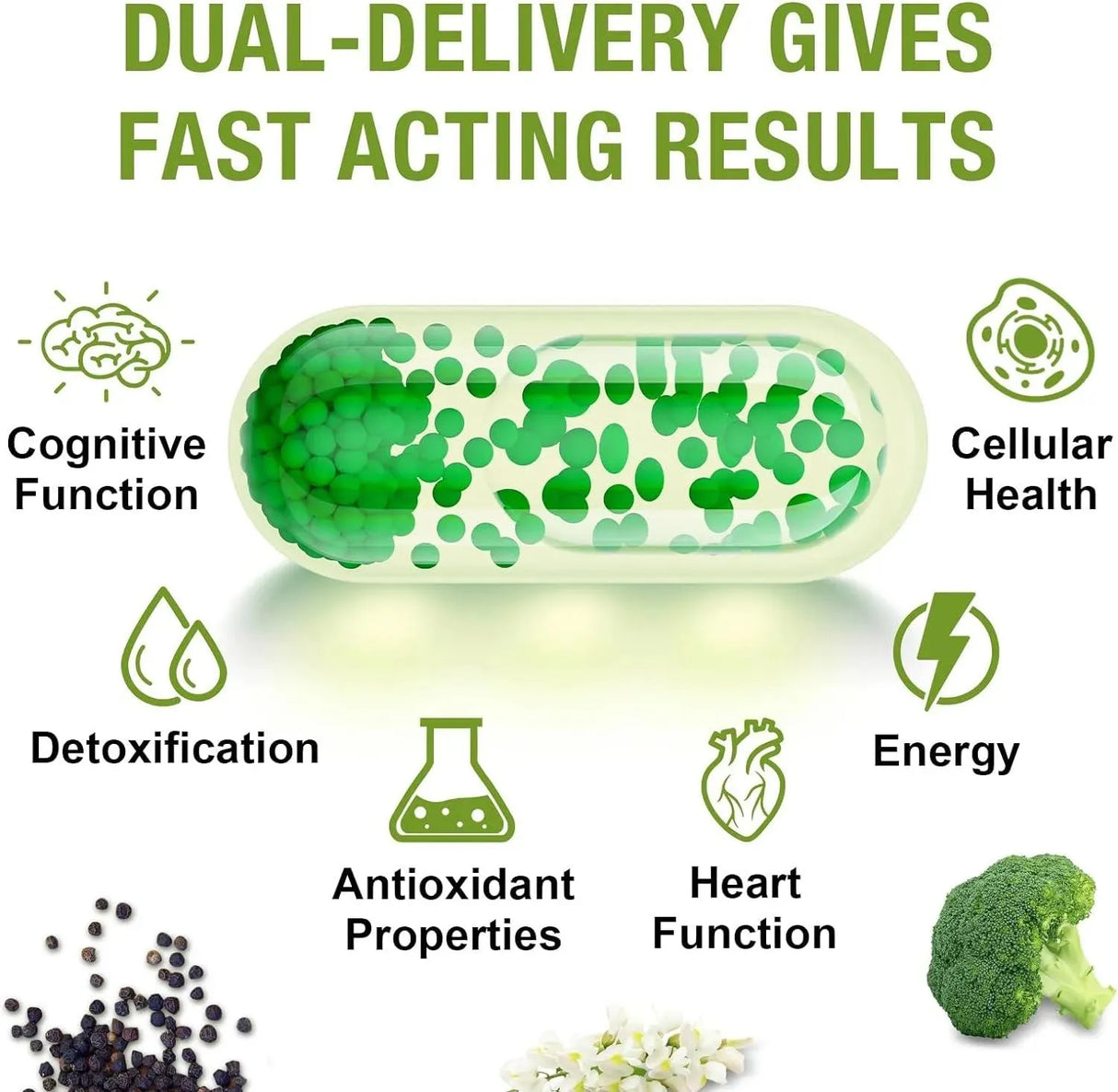 ROSMOLO - Rosmolo Liposomal Sulforaphane 800Mg. 60 Capsulas Blandas - The Red Vitamin MX - Suplementos Alimenticios - {{ shop.shopifyCountryName }}