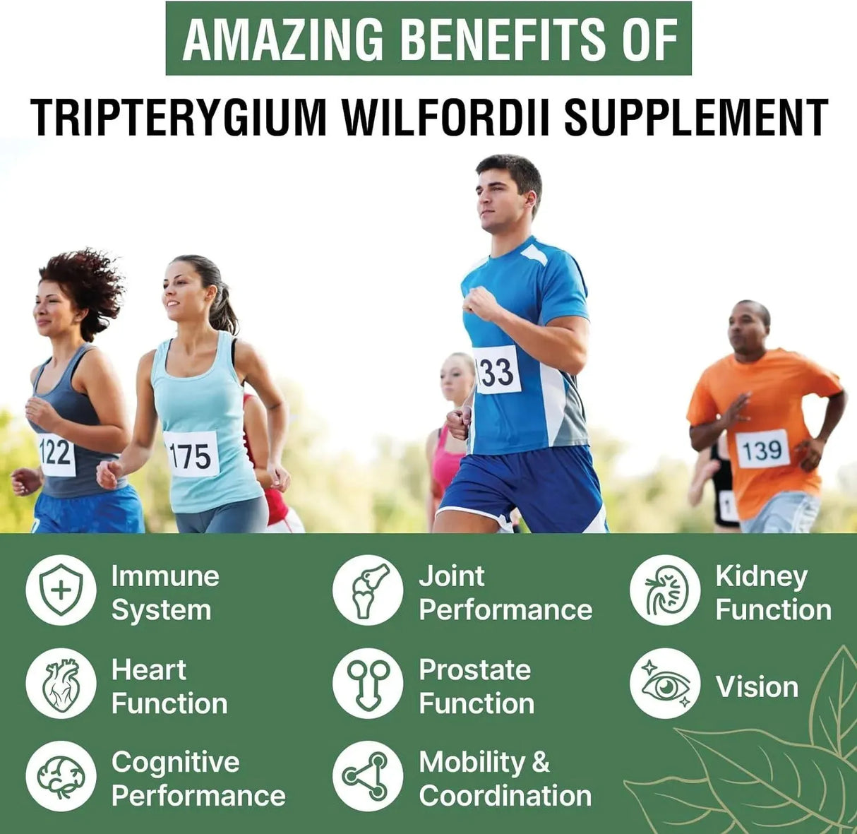 ROSMOLO - Rosmolo Thunder God Vine Root Extract 20:1 1200Mg. 60 Capsulas 2 Pack - The Red Vitamin MX - Suplementos Alimenticios - {{ shop.shopifyCountryName }}