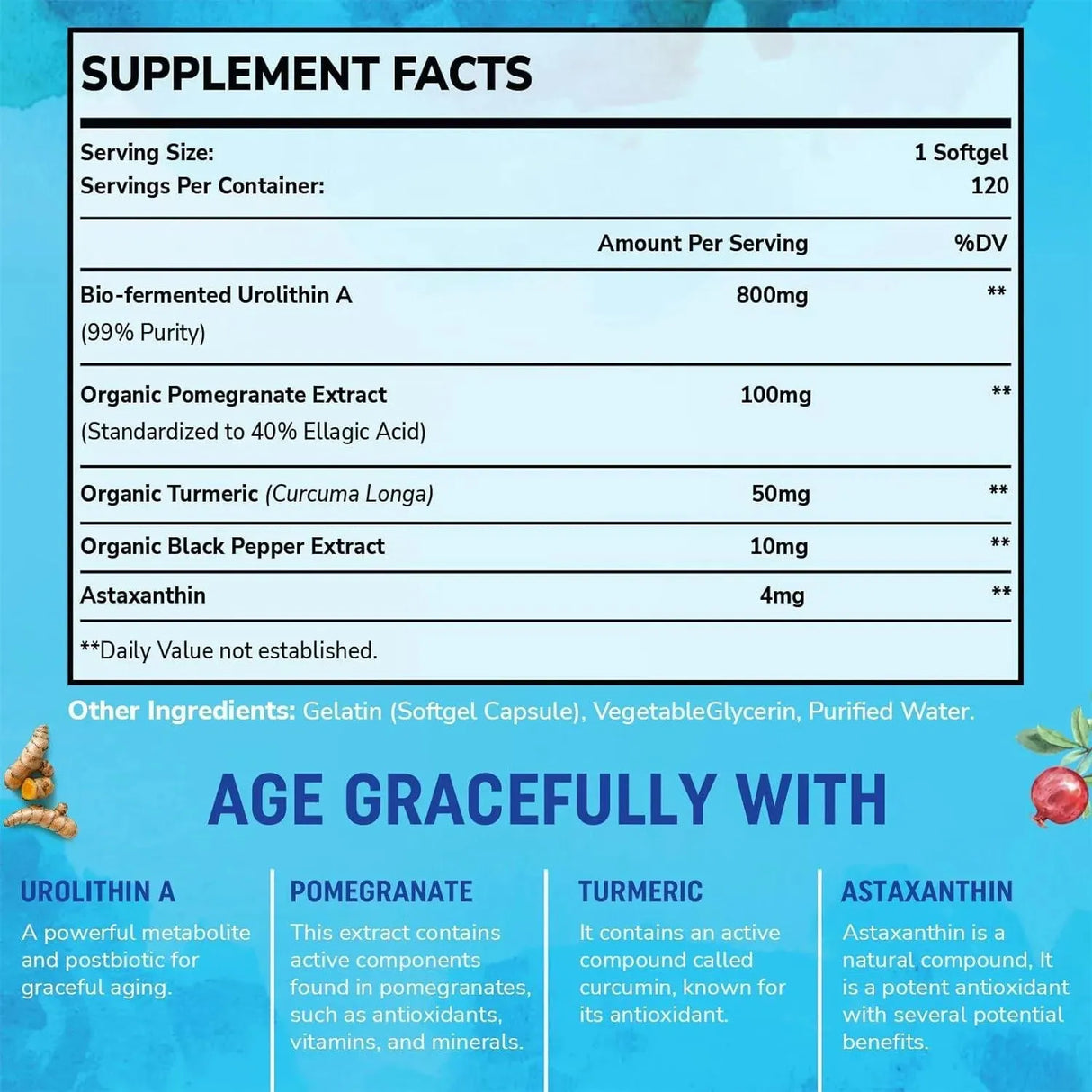 SAGLIKLI - Saglikli Urolithin A 800Mg. 120 Capsulas 2 Pack - The Red Vitamin MX - Suplementos Alimenticios - {{ shop.shopifyCountryName }}