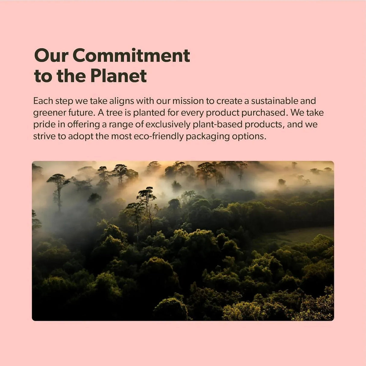 SAPLING - Sapling Algae Calcium 90 Capsulas - The Red Vitamin MX - Suplementos Alimenticios - {{ shop.shopifyCountryName }}