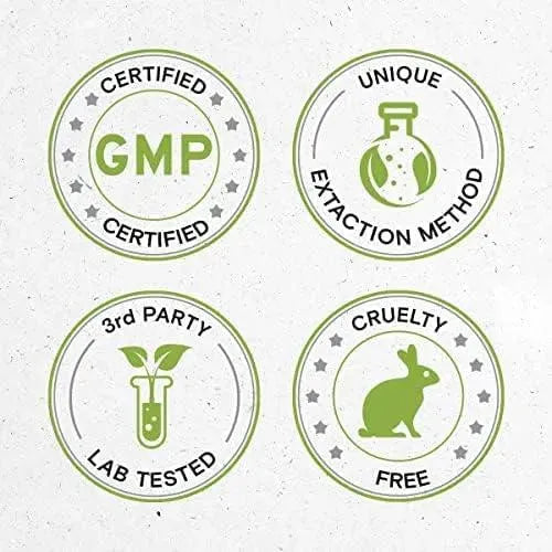 SECRETS OF THE TRIBE - Secrets of the Tribe Bitter Melon Alcohol-Free Extract 4 Fl.Oz. - The Red Vitamin MX - Suplementos Alimenticios - {{ shop.shopifyCountryName }}