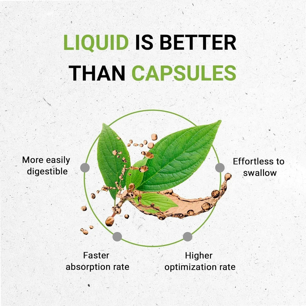 SECRETS OF THE TRIBE - Secrets of the Tribe Dandelion Leaf 4 Fl.Oz. - The Red Vitamin MX - Suplementos Alimenticios - {{ shop.shopifyCountryName }}