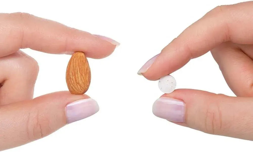 SEEKING HEALTH - Seeking Health Methyl B12 with L-Methylfolate 60 Tabletas - The Red Vitamin MX - Suplementos Alimenticios - {{ shop.shopifyCountryName }}