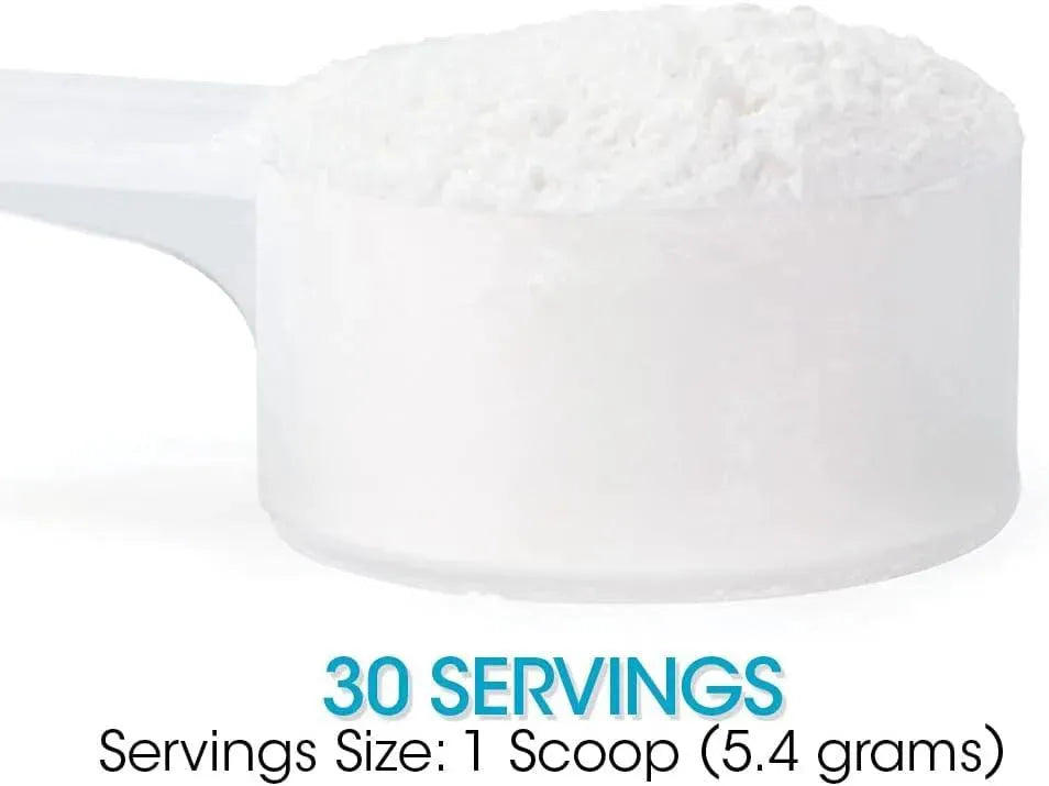 SILVER FERN - Silver Fern Gut Repair 30 Servicios 162Gr. - The Red Vitamin MX - Suplementos Alimenticios - {{ shop.shopifyCountryName }}