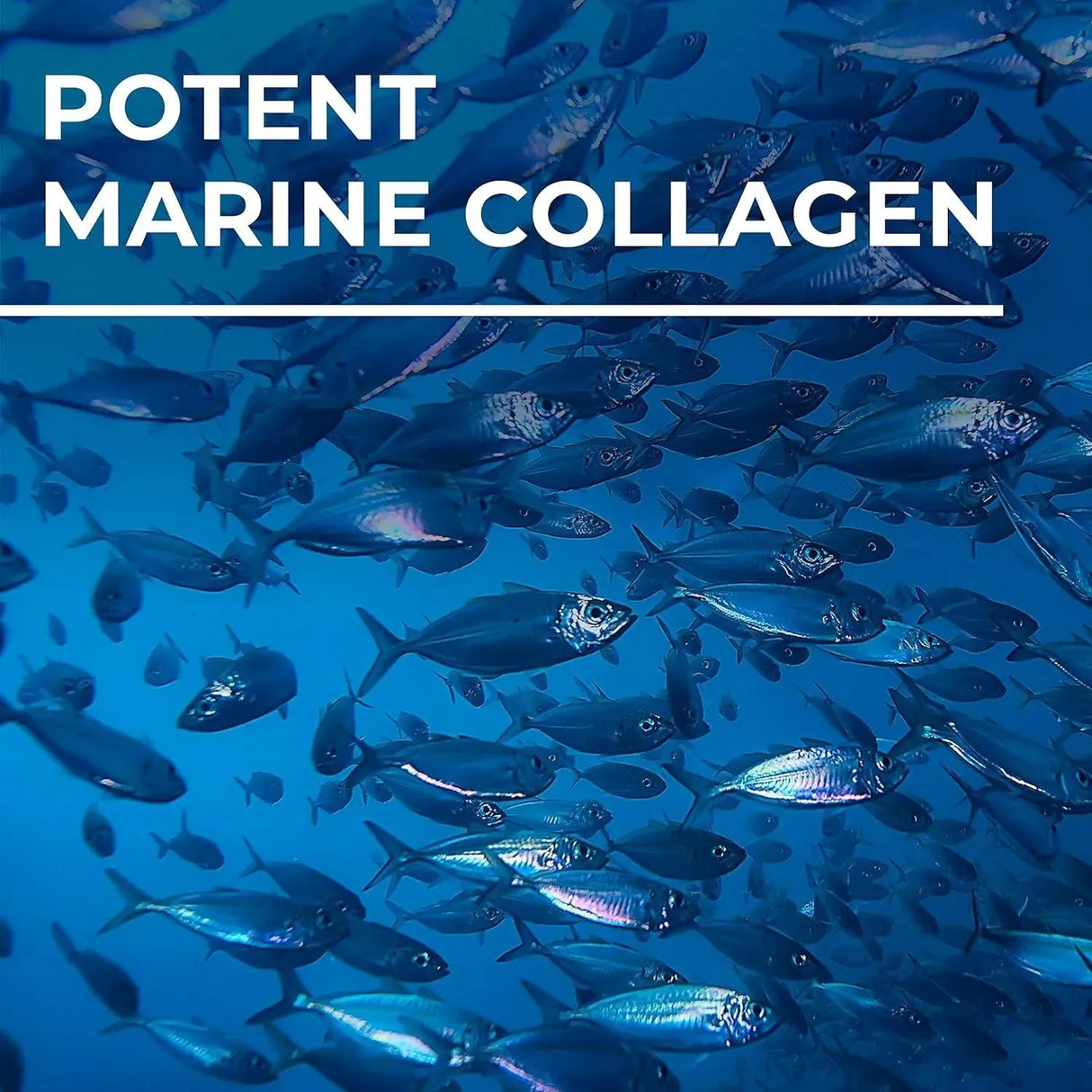 SIMPLY 8 - Simply8 Hydrolysed Collagen Peptides Gummies 60 Gomitas - The Red Vitamin MX - Suplementos Alimenticios - {{ shop.shopifyCountryName }}