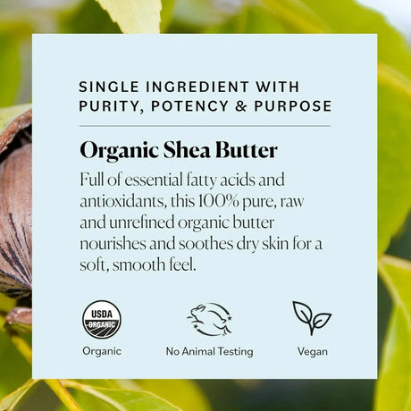 SKY ORGANICS - Sky Organics Organic Shea Butter 425Gr. - The Red Vitamin MX - Cremas Corporales - {{ shop.shopifyCountryName }}