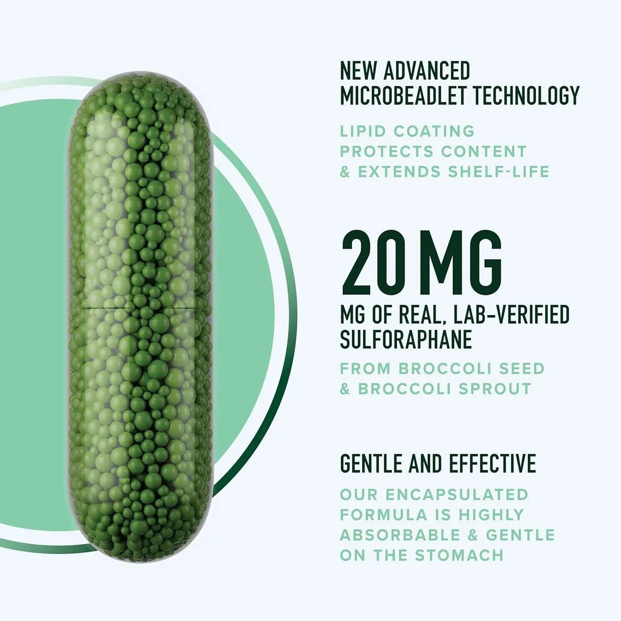 SM Nutrition - SMNutrition Sulforaphane 20Mg. 60 Capsulas - The Red Vitamin MX - Suplementos Alimenticios - {{ shop.shopifyCountryName }}