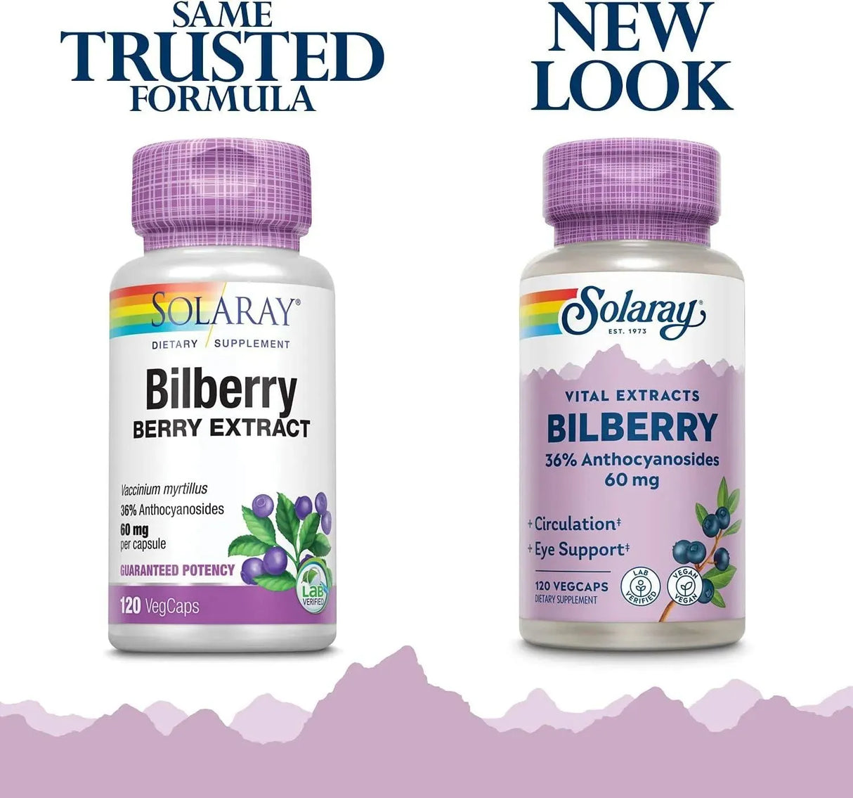 SOLARAY - SOLARAY Bilberry Berry Extract 60Mg. 120 Capsulas - The Red Vitamin MX - Suplementos Alimenticios - {{ shop.shopifyCountryName }}