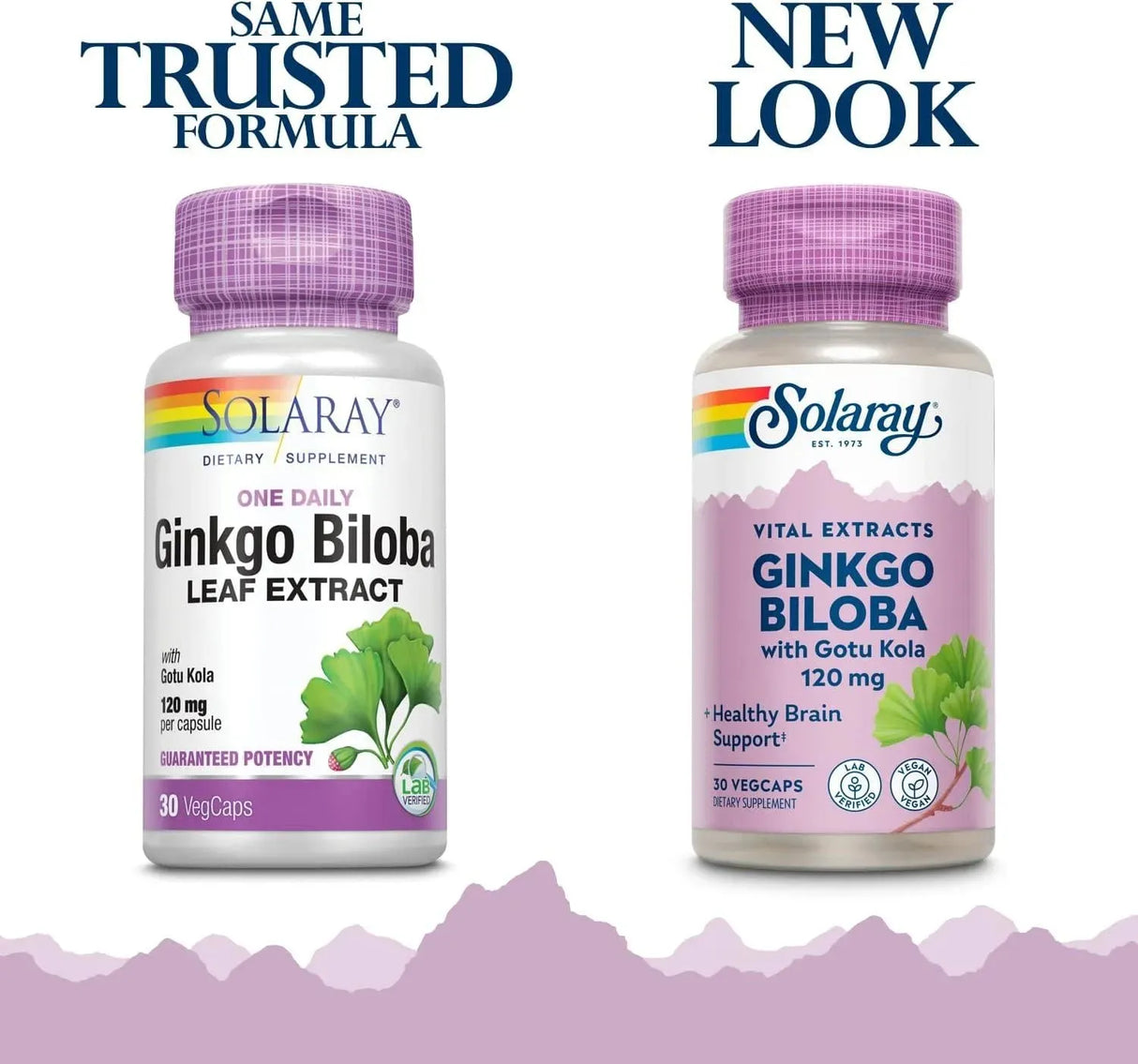 SOLARAY - Solaray One Daily Ginkgo Biloba Leaf Extract 30 Capsulas - The Red Vitamin MX - Suplementos Alimenticios - {{ shop.shopifyCountryName }}