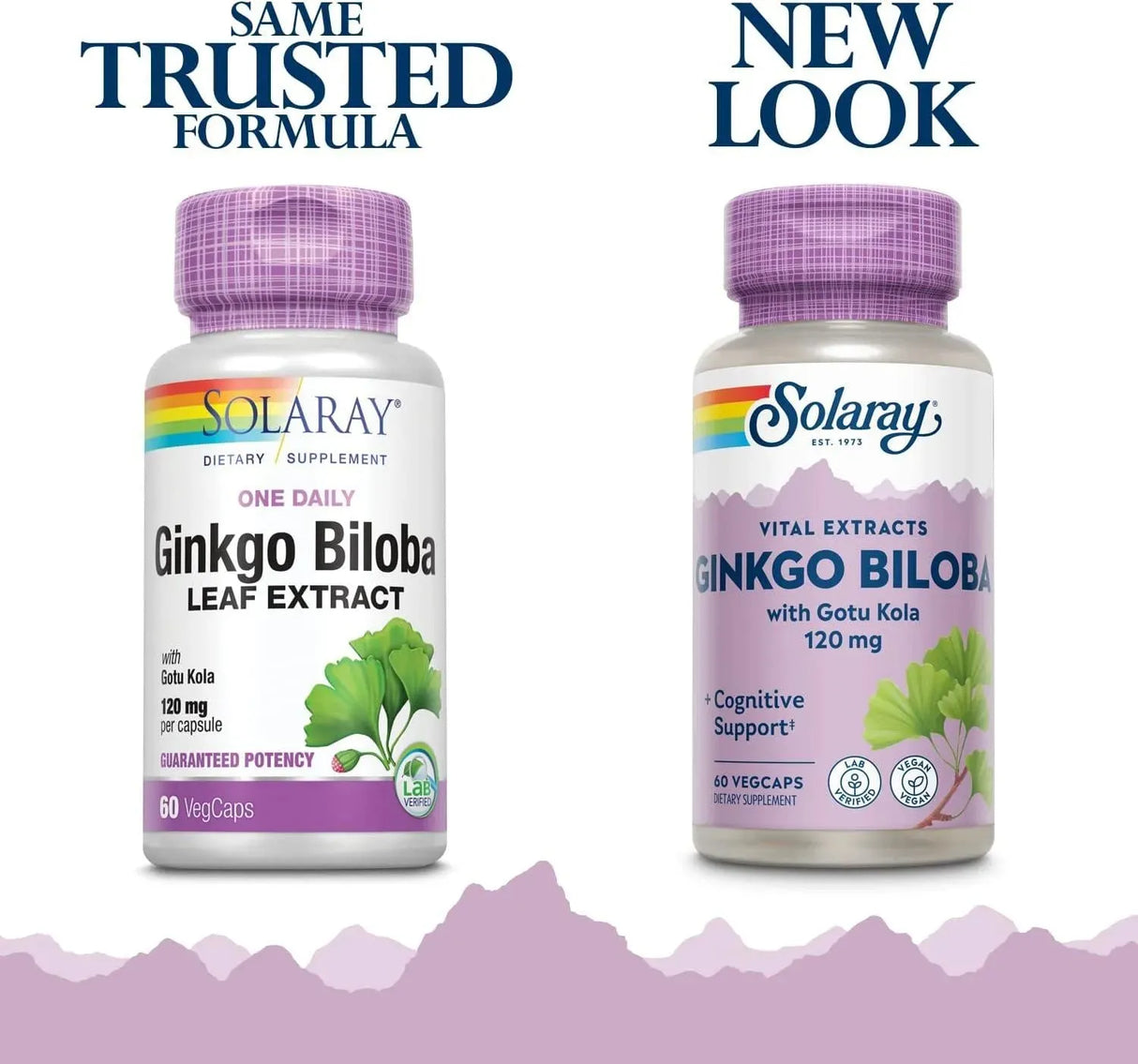 SOLARAY - Solaray One Daily Ginkgo Biloba Leaf Extract 60 Capsulas - The Red Vitamin MX - Suplementos Alimenticios - {{ shop.shopifyCountryName }}