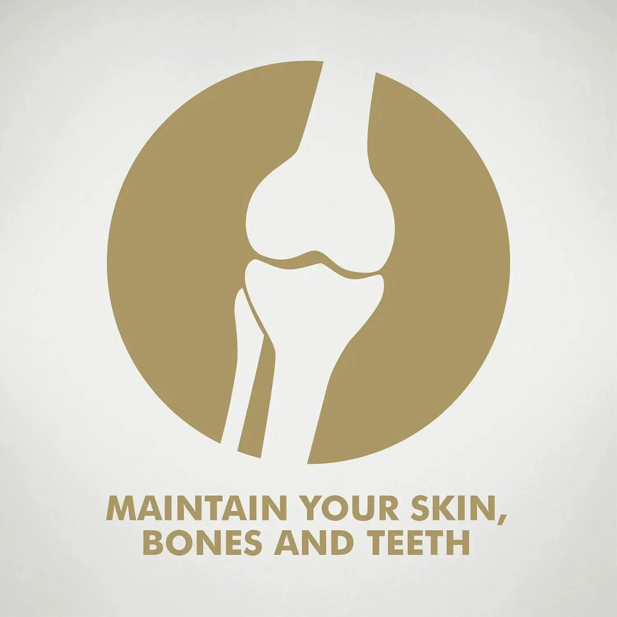 SOLGAR - Solgar Ester-C Plus 500Mg. Vitamin C 100 Capsulas - The Red Vitamin MX - Suplementos Alimenticios - {{ shop.shopifyCountryName }}