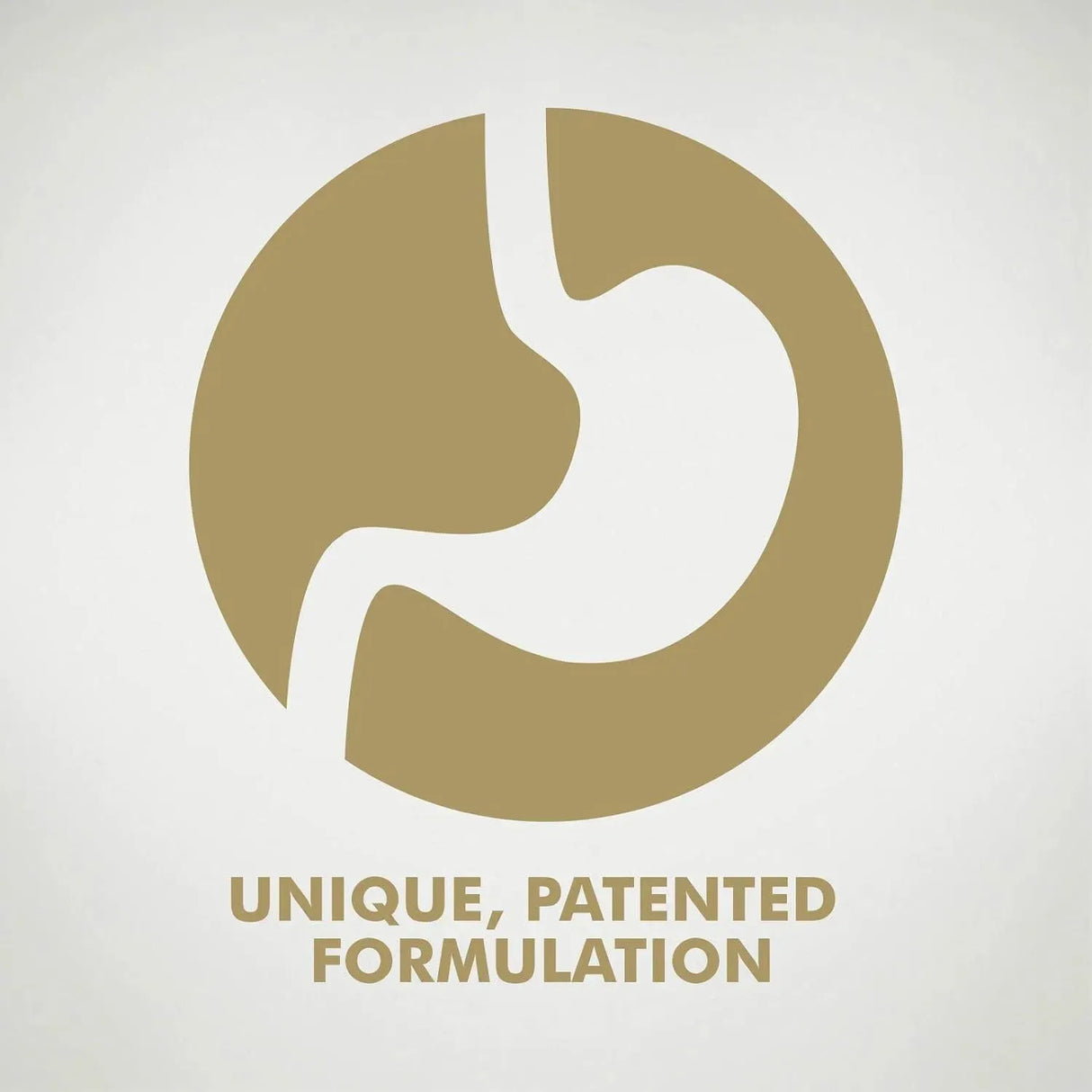 SOLGAR - Solgar Ester-C Plus 500Mg. Vitamin C 100 Capsulas - The Red Vitamin MX - Suplementos Alimenticios - {{ shop.shopifyCountryName }}