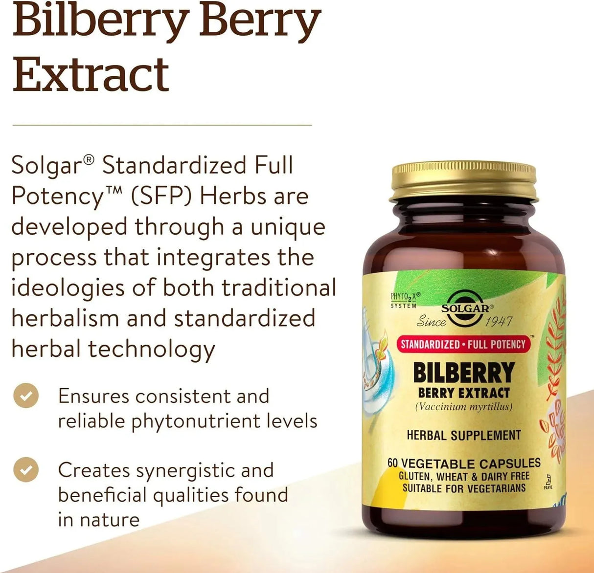 SOLGAR - Solgar Standardized Full Potency Bilberry Berry Extract 60 Capsulas - The Red Vitamin MX - Suplementos Alimenticios - {{ shop.shopifyCountryName }}