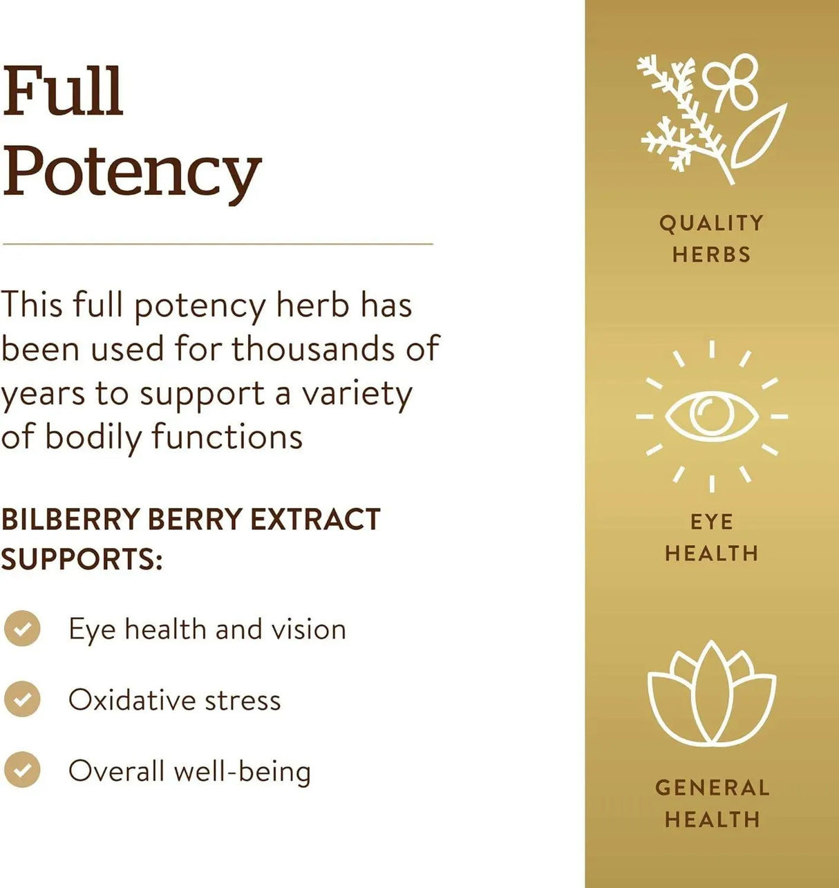 SOLGAR - Solgar Standardized Full Potency Bilberry Berry Extract 60 Capsulas - The Red Vitamin MX - Suplementos Alimenticios - {{ shop.shopifyCountryName }}