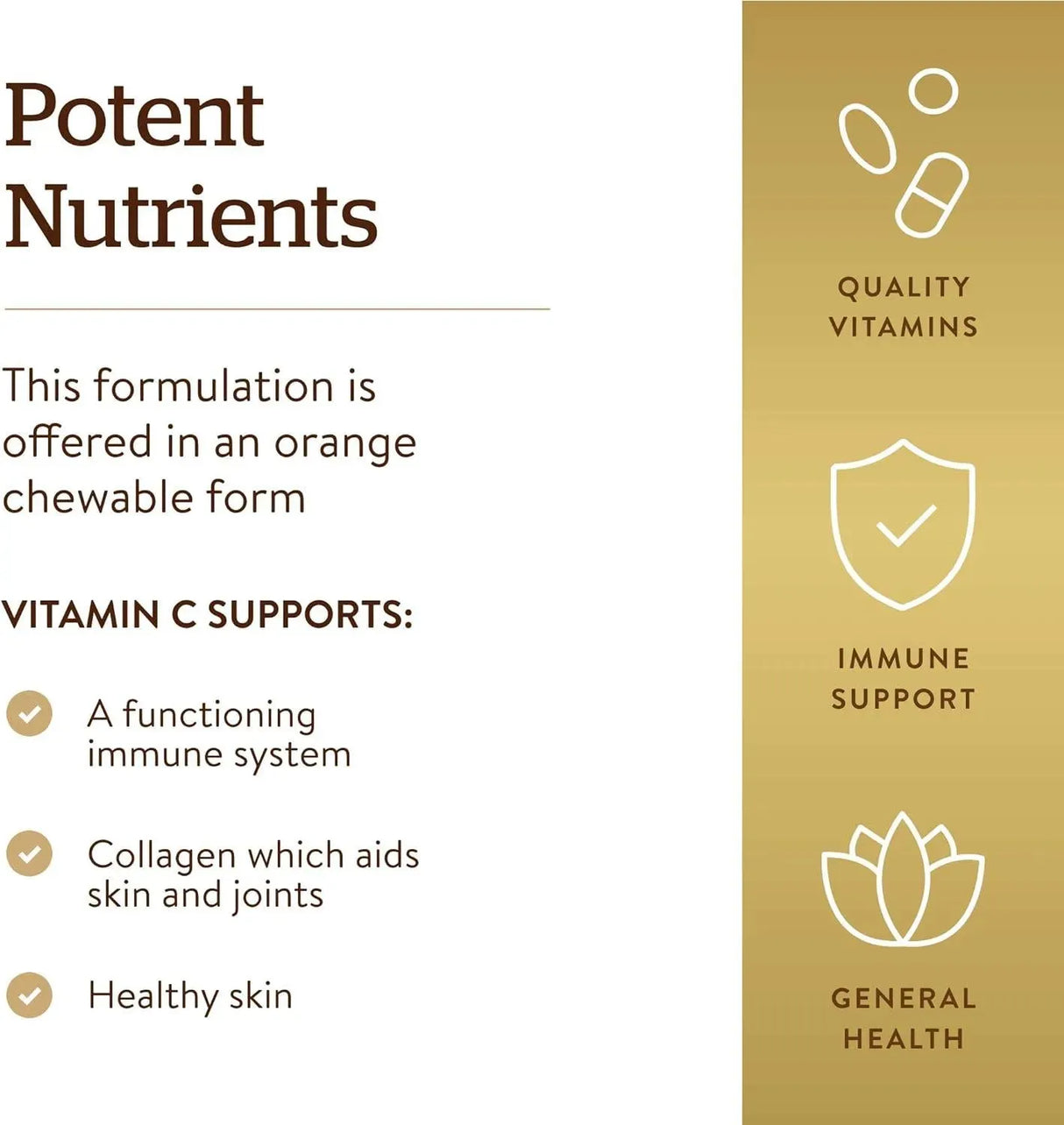 SOLGAR - Solgar Vitamin C 500Mg. Chewable Orange Flavor 90 Tabletas Masticables - The Red Vitamin MX - Suplementos Alimenticios - {{ shop.shopifyCountryName }}